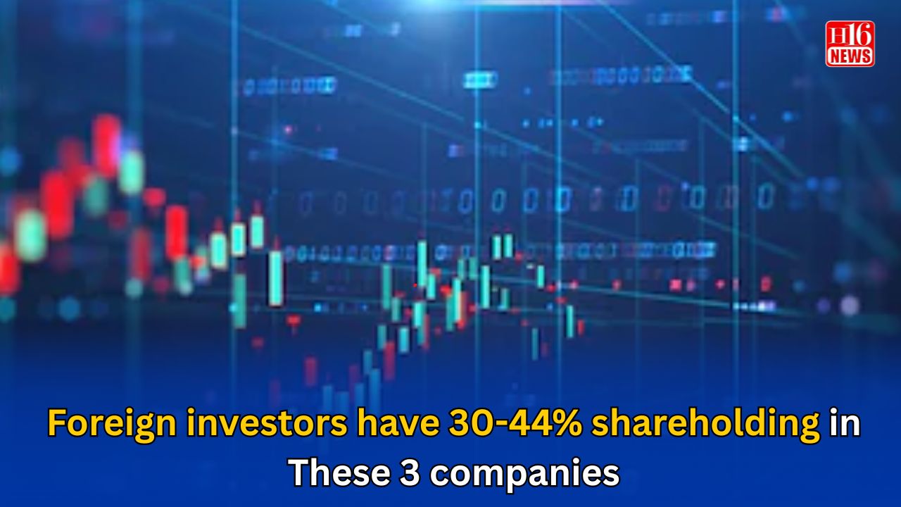 Foreign investors have 30-44% shareholding in These 3 companies